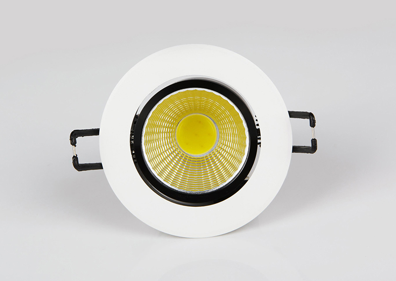 cob light source