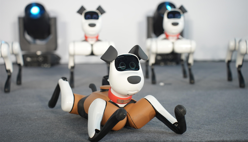 Robot Dog